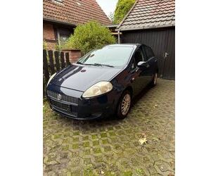 Fiat Punto Gebrauchtwagen