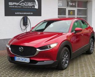 Mazda CX-30 Gebrauchtwagen