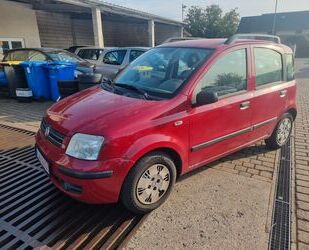 Fiat New Panda Gebrauchtwagen