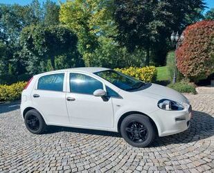Fiat Punto Gebrauchtwagen