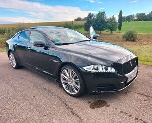 Jaguar XJ Gebrauchtwagen
