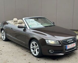 Audi A5 Gebrauchtwagen