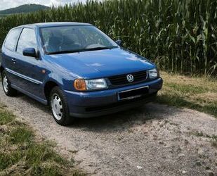 VW Polo Gebrauchtwagen