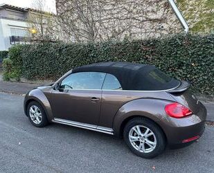 VW Beetle Gebrauchtwagen