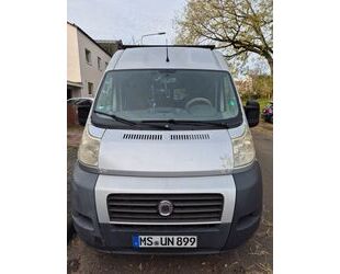 Fiat Ducato Gebrauchtwagen