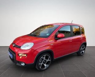 Fiat Panda Gebrauchtwagen