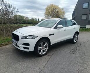 Jaguar F-Pace Gebrauchtwagen