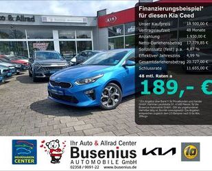 Kia ceed / Ceed Gebrauchtwagen