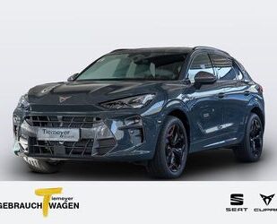 Cupra Terramar Gebrauchtwagen