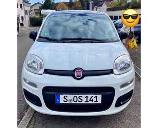 Fiat New Panda Gebrauchtwagen