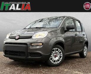 Fiat Panda Gebrauchtwagen