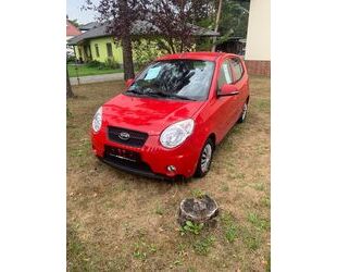 Kia Picanto Gebrauchtwagen
