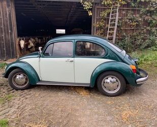 VW Käfer Gebrauchtwagen