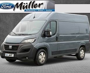 Fiat Ducato Gebrauchtwagen