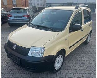 Fiat Panda Gebrauchtwagen