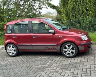Fiat Panda Gebrauchtwagen