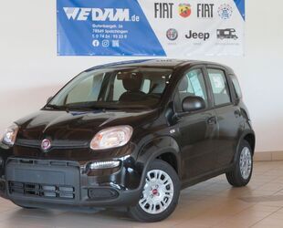 Fiat Panda Gebrauchtwagen