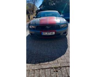Ford Mustang Gebrauchtwagen