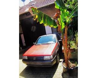 Fiat Tipo Gebrauchtwagen