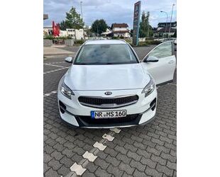 Kia XCeed Gebrauchtwagen