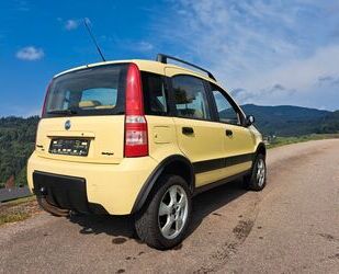 Fiat Panda Gebrauchtwagen