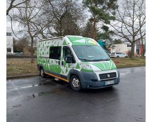 Fiat Ducato Gebrauchtwagen
