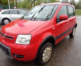 Fiat Panda Gebrauchtwagen