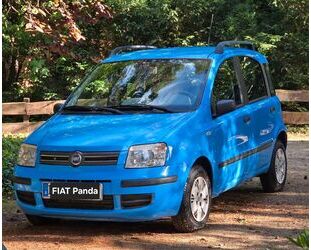 Fiat Panda Gebrauchtwagen