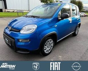 Fiat Panda Gebrauchtwagen