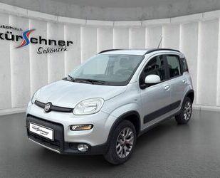 Fiat Panda Gebrauchtwagen