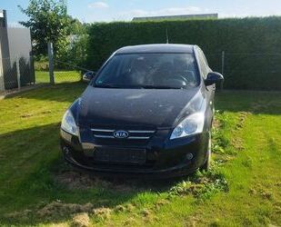 Kia ceed / Ceed Gebrauchtwagen