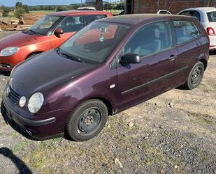VW Polo Gebrauchtwagen