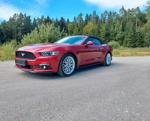 Ford Mustang Gebrauchtwagen