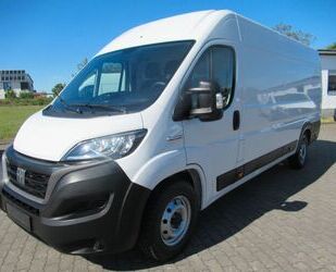 Fiat Ducato Gebrauchtwagen