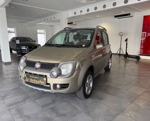 Fiat Panda Gebrauchtwagen