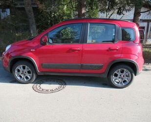 Fiat Panda Gebrauchtwagen