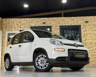 Fiat Panda Gebrauchtwagen