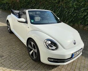 VW Beetle Gebrauchtwagen