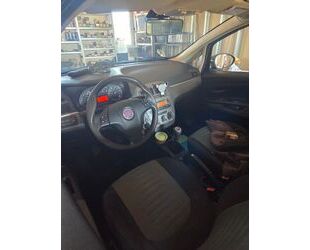 Fiat Punto Gebrauchtwagen