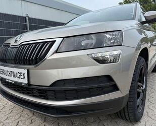 Skoda Karoq Gebrauchtwagen