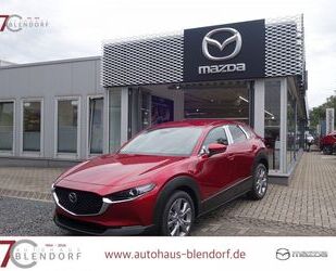 Mazda CX-30 Gebrauchtwagen