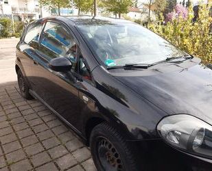 Fiat Punto Gebrauchtwagen
