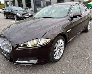 Jaguar XF Gebrauchtwagen