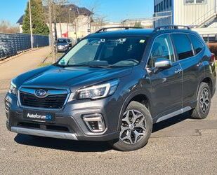 Subaru Forester Gebrauchtwagen