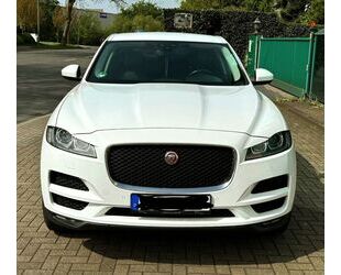 Jaguar F-Pace Gebrauchtwagen
