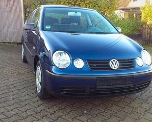 VW Polo Gebrauchtwagen