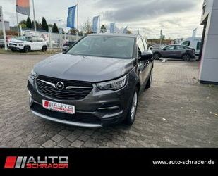 Opel Opel Grandland X Innovation AHK, NAVI, ACC, 360°, Gebrauchtwagen