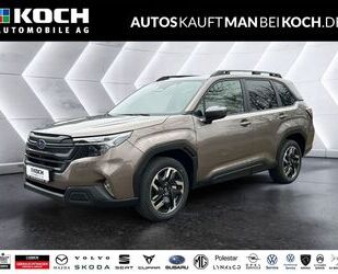 Subaru Forester Gebrauchtwagen