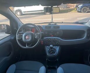 Fiat Panda Gebrauchtwagen