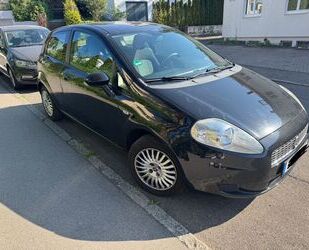 Fiat Punto Gebrauchtwagen